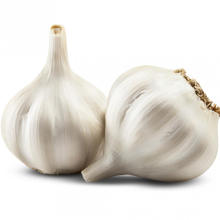 Sell Fresh Vegetable Garlic Bulk Price